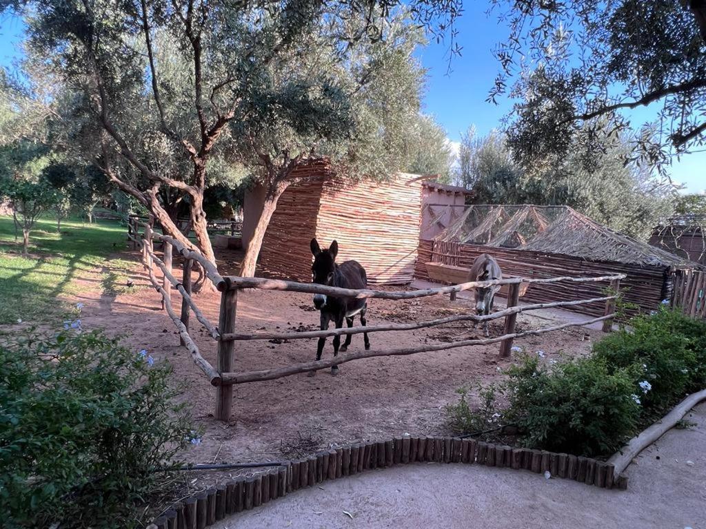 Jardin Sakina - Centre De Bien-Etre & Soins Holistiques - Chambre D'Hotes Bed & Breakfast Marrakesh Bagian luar foto