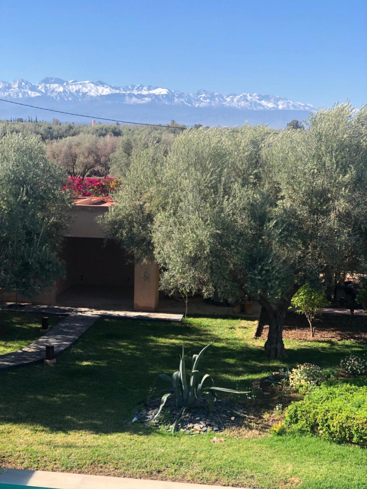 Jardin Sakina - Centre De Bien-Etre & Soins Holistiques - Chambre D'Hotes Bed & Breakfast Marrakesh Bagian luar foto