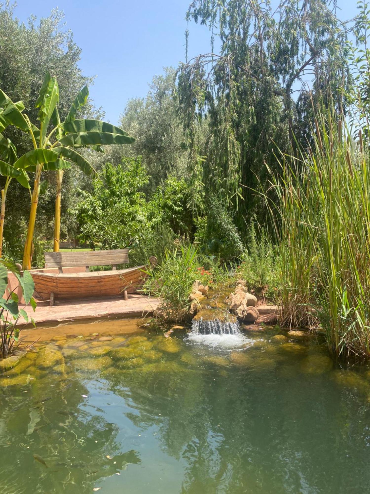 Jardin Sakina - Centre De Bien-Etre & Soins Holistiques - Chambre D'Hotes Bed & Breakfast Marrakesh Bagian luar foto