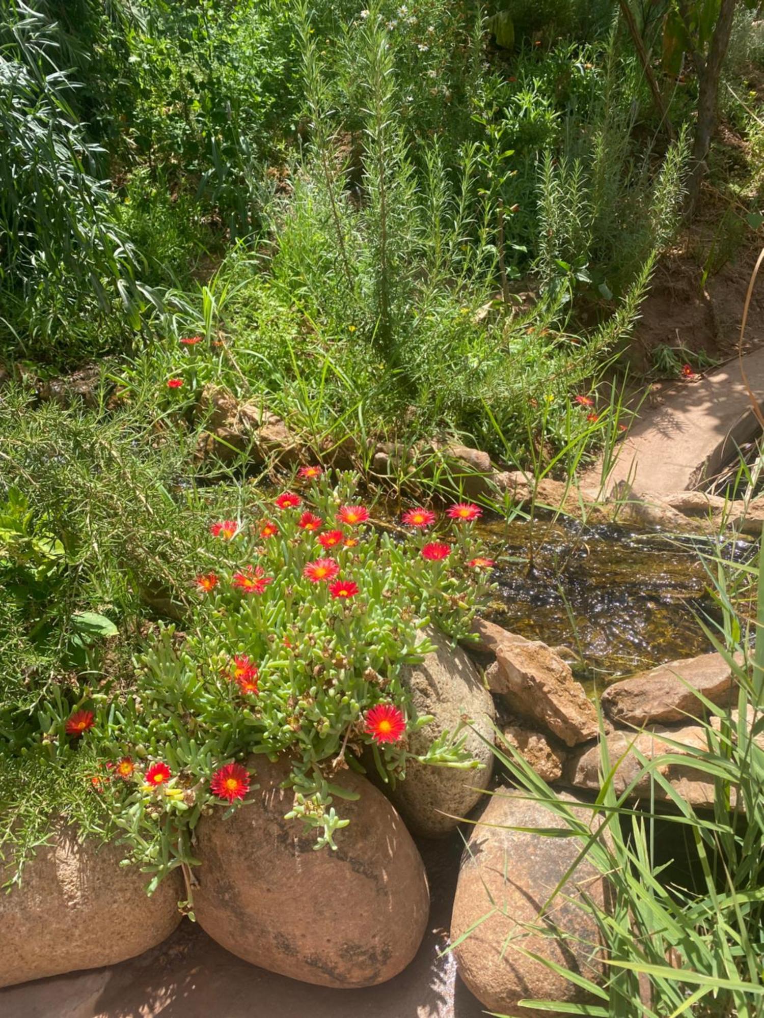 Jardin Sakina - Centre De Bien-Etre & Soins Holistiques - Chambre D'Hotes Bed & Breakfast Marrakesh Bagian luar foto