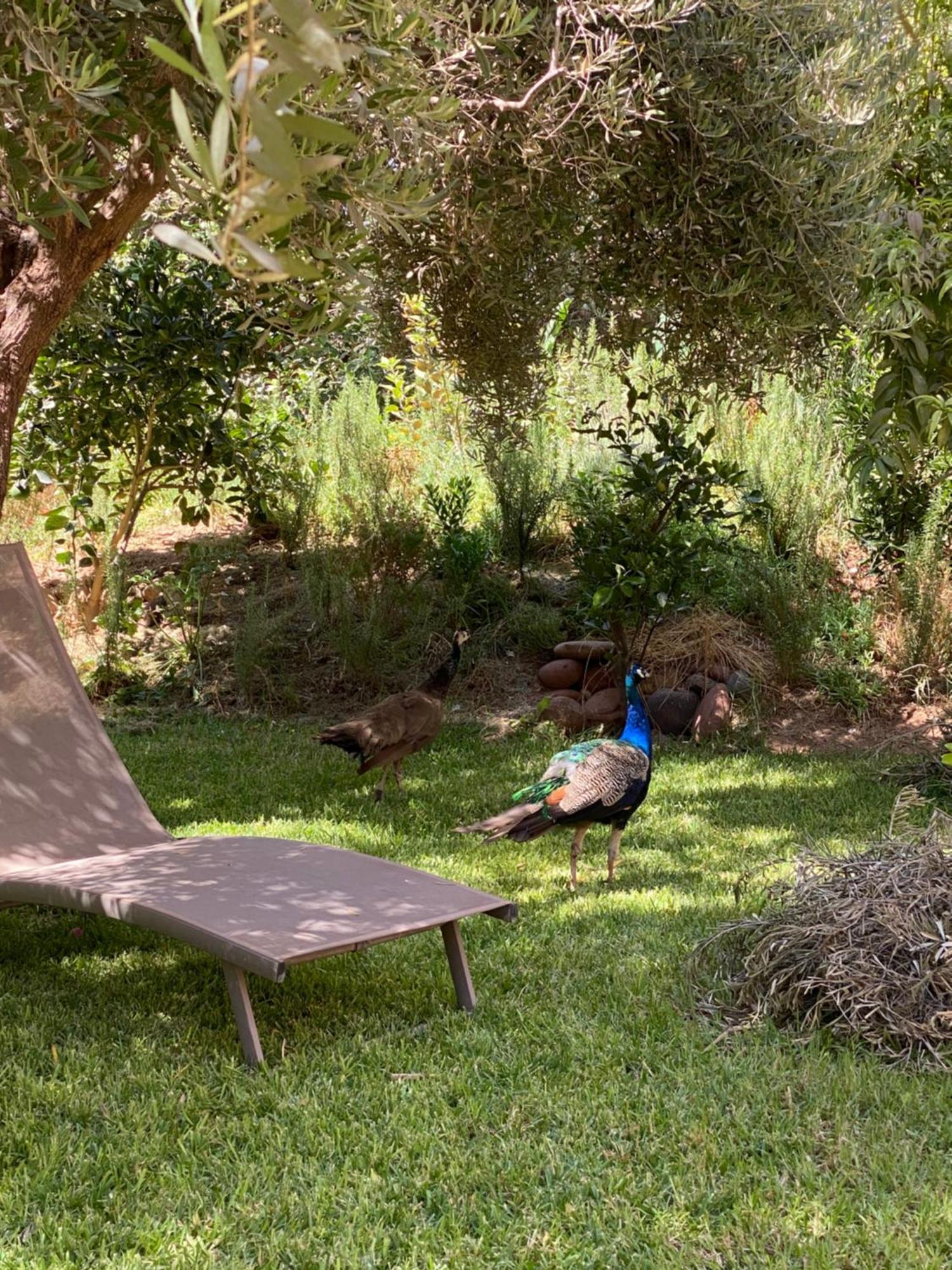 Jardin Sakina - Chambre D'Hotes Oulad Moumene Bagian luar foto