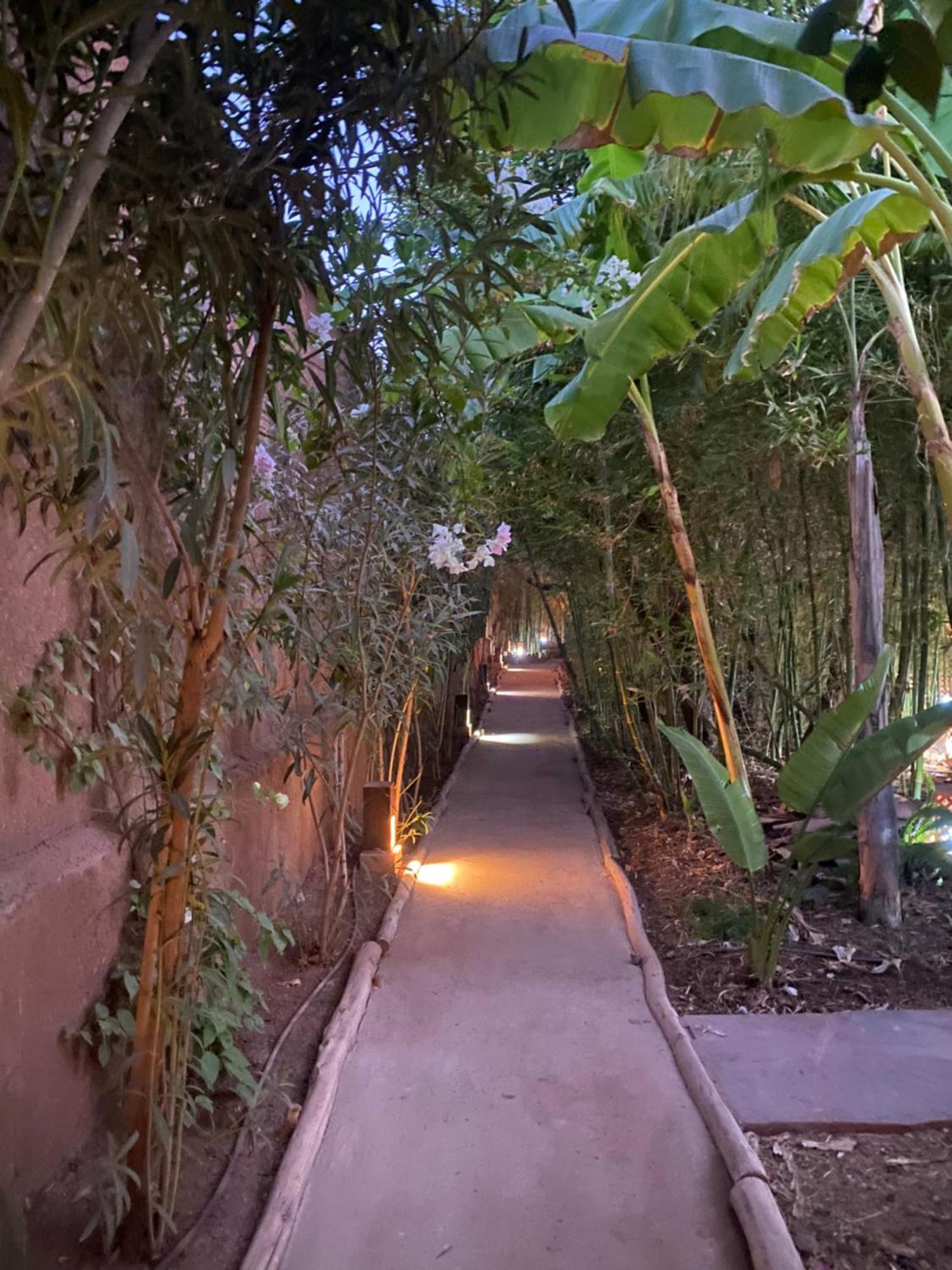 Jardin Sakina - Centre De Bien-Etre & Soins Holistiques - Chambre D'Hotes Bed & Breakfast Marrakesh Bagian luar foto