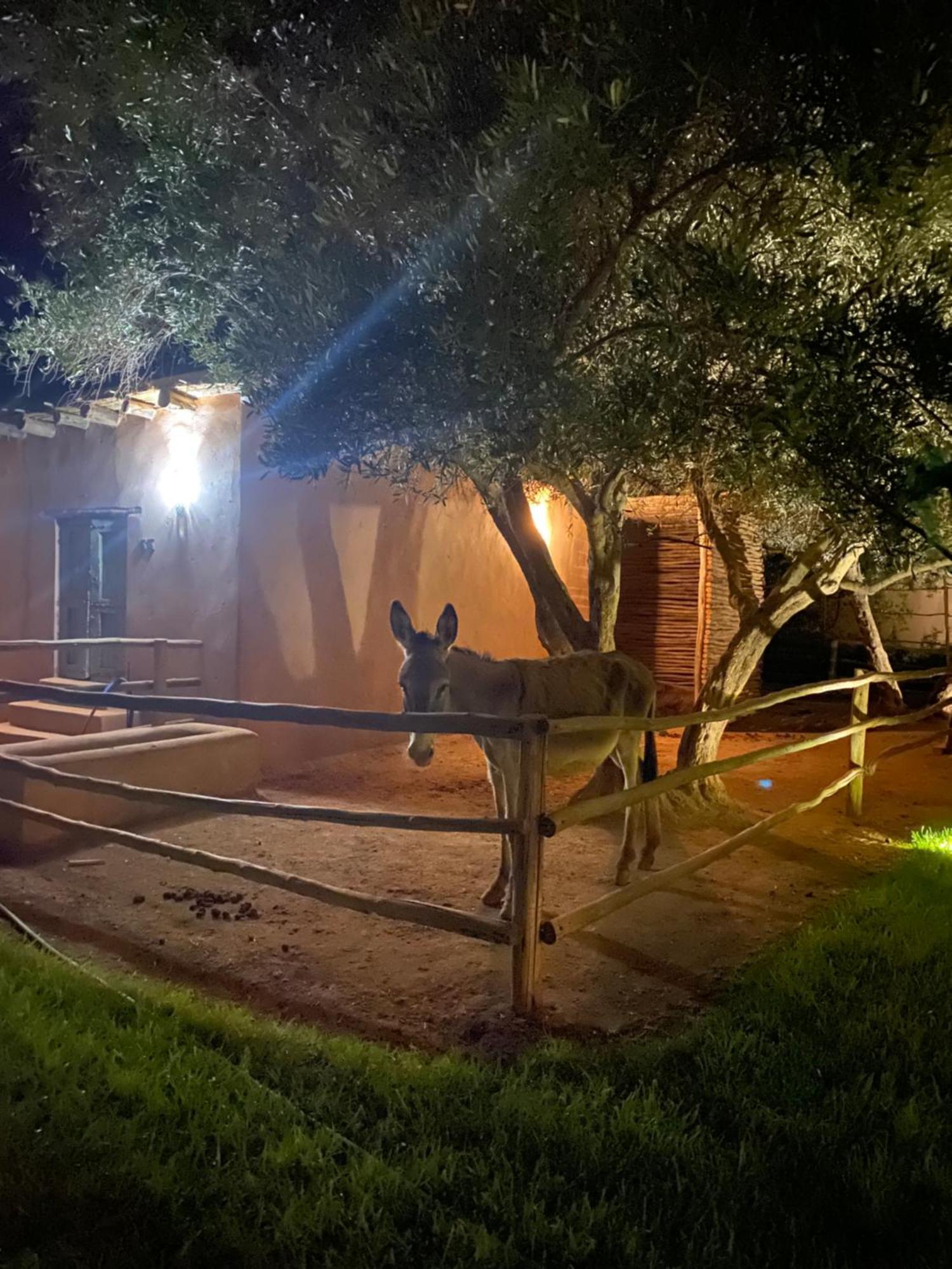 Jardin Sakina - Chambre D'Hotes Oulad Moumene Bagian luar foto